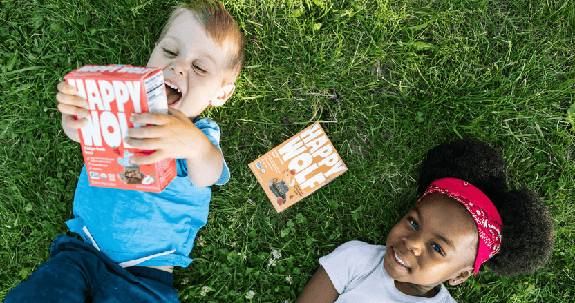 Nutritious Fridge-Fresh Snack Bars for Kids | Happy Wolf